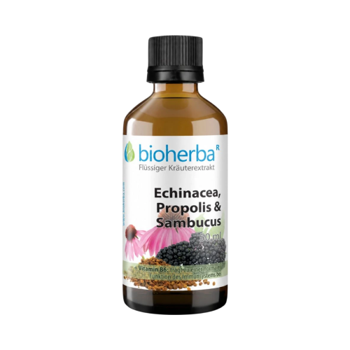 Echinacea, propolis a baza čierna – tinktúra – 50 ml – Bioherba