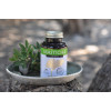 Masticha Active kapsule na trávenie - 100 tabliet Masticha Active kapsule na trávenie - 100 tabliet