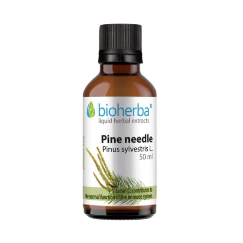 Borovicové výhonky - tinktúra kvapky - 50 ml - Bioherba