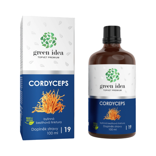 Cordyceps - bezliehová tinktúra 100 ml - Green idea