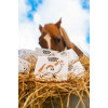 Balzam na kopytá HORSES – Shroom Buddy