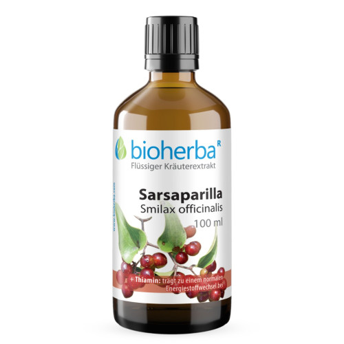 Sarsaparilla - tinktúra kvapky - 100 ml - Bioherba Sarsaparilla - tinktúra kvapky - 100 ml - Bioherba