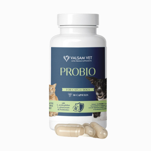 PROBIO - probiotiká a prebiotiká pre psy a mačky 30 kapsúl - Valsam Vet