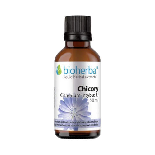 Čakanka (kávová) - tinktúra kvapky - 50 ml - Bioherba