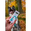 Svieži dych DOGS – Shroom Buddy Svieži dych DOGS – Shroom Buddy