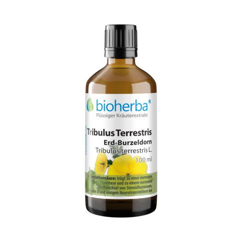 Kotvičník kvapky – tinktúra – 100 ml – Bioherba