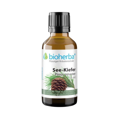 Borovica prímorská - tinktúra kvapky - 50 ml - Bioherba Borovica prímorská - tinktúra kvapky - 50 ml - Bioherba