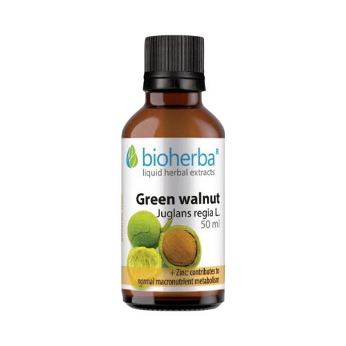 Zelený vlašský orech (Juglans regia) kvapky – tinktúra – 50 ml – Bioherba