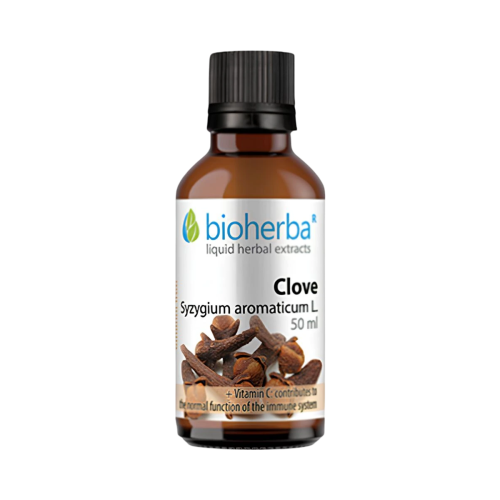 Klinček - tinktúra kvapky - 50 ml - Bioherba