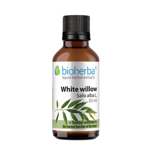 Vŕba biela - tinktúra kvapky - 50 ml - Bioherba Vŕba biela - tinktúra kvapky - 50 ml - Bioherba
