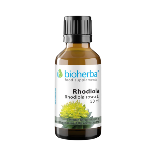 Rhodiola kvapky – tinktúra – 100 ml – Bioherba