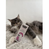Kvapky do uší CATS – Shroom Buddy Kvapky do uší CATS – Shroom Buddy