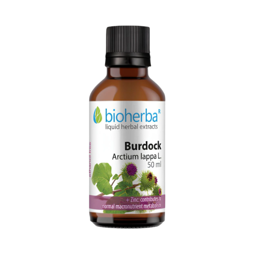 Lopúch väčší - tinktúra kvapky - 50 ml - Bioherba