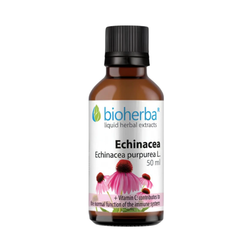 Echinacea kvapky – tinktúra – 50 ml – Bioherba