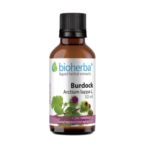 Lopúch väčší - tinktúra kvapky - 50 ml - Bioherba Lopúch väčší - tinktúra kvapky - 50 ml - Bioherba
