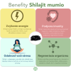 Shilajit - očistené mumio premium (500mg) - výživový doplnok - 80 kapsúl Shilajit - očistené mumio premium (500mg) - výživový doplnok - 80 kapsúl