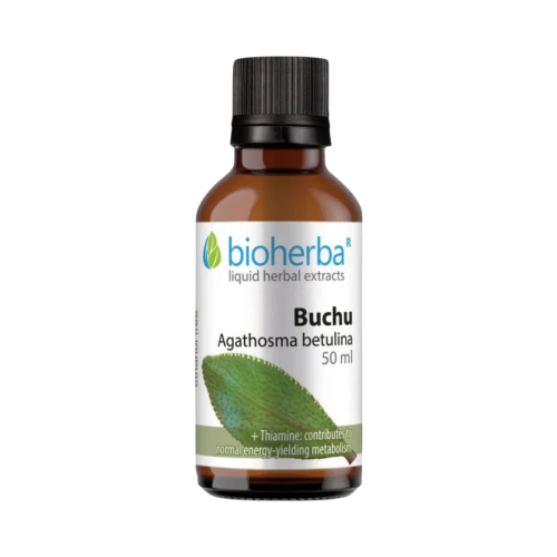 Buchu - tinktúra kvapky - 50 ml - Bioherba Buchu - tinktúra kvapky - 50 ml - Bioherba