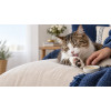 Balzam na labky CATS – Shroom Buddy Balzam na labky CATS – Shroom Buddy