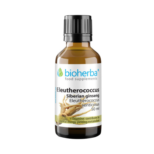 Sibírsky ženšen kvapky – tinktúra – 100 ml – Bioherba