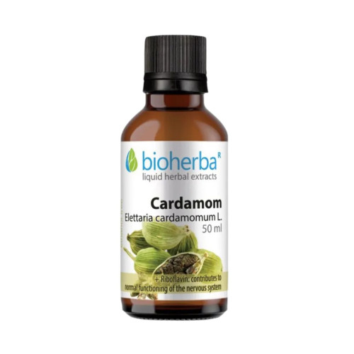 Kardamóm - tinktúra kvapky - 50 ml - Bioherba Kardamóm - tinktúra kvapky - 50 ml - Bioherba