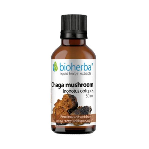 Čaga - tinktúra kvapky - 50 ml - Bioherba Čaga - tinktúra kvapky - 50 ml - Bioherba