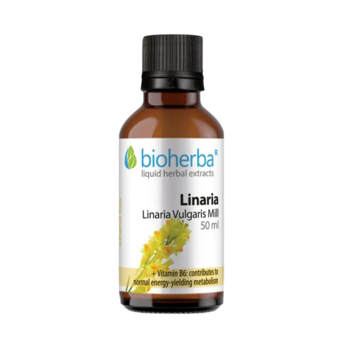 Ľanovník - tinktúra kvapky - 50 ml - Bioherba Ľanovník - tinktúra kvapky - 50 ml - Bioherba