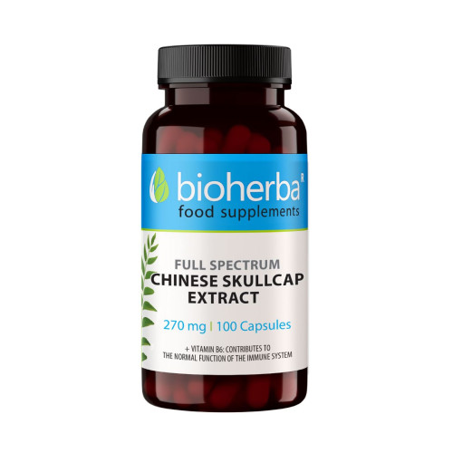 Šišiak bajkalský extrakt 270 mg – 100 kapsúl – Bioherba