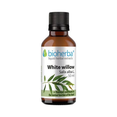 Vŕba biela - tinktúra kvapky - 50 ml - Bioherba
