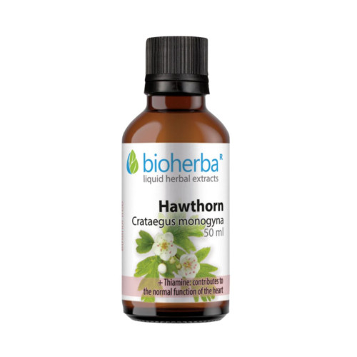Hloh - tinktúra kvapky - 50 ml - Bioherba