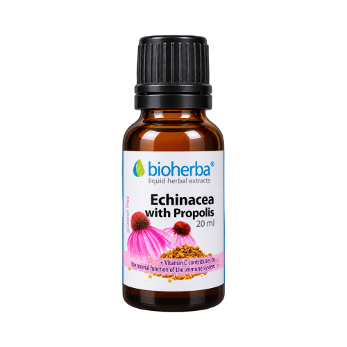 Echinacea s propolisom kvapky – tinktúra – 20 ml – Bioherba