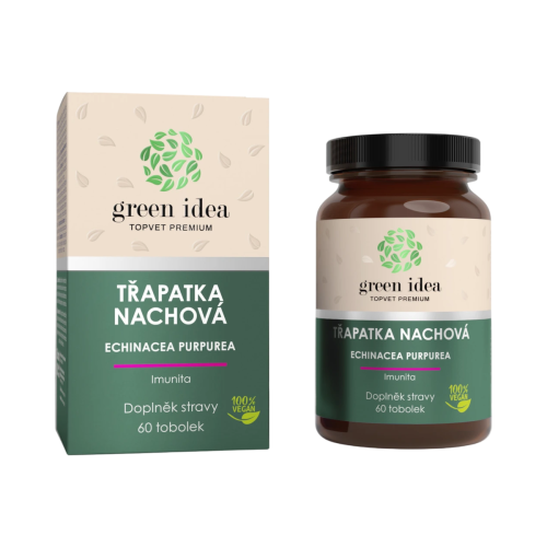 Echinacea – bylinný extrakt – 60 kapsúl – Green idea