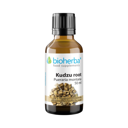 Extrakt z koreňa kudzu (Pueraria montana) kvapky – tinktúra – 100 ml – Bioherba