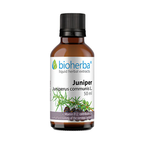 Borievka - tinktúra kvapky - 50 ml - Bioherba