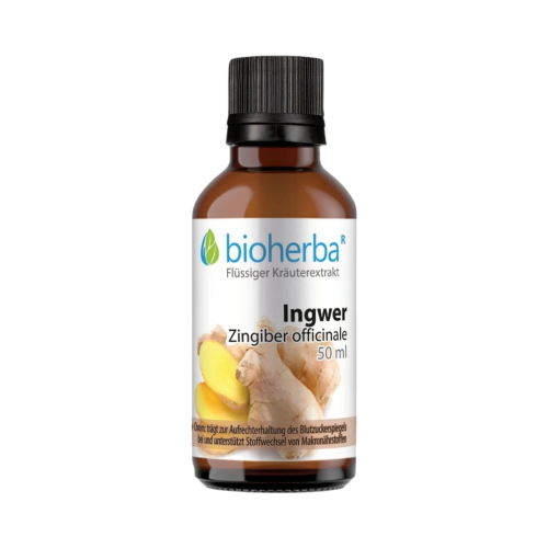 Zázvor kvapky – tinktúra – 50 ml – Bioherba