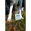 Balzam na labky DOGS – Shroom Buddy Balzam na labky DOGS – Shroom Buddy