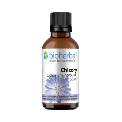 Čakanka (kávová) - tinktúra kvapky - 50 ml - Bioherba