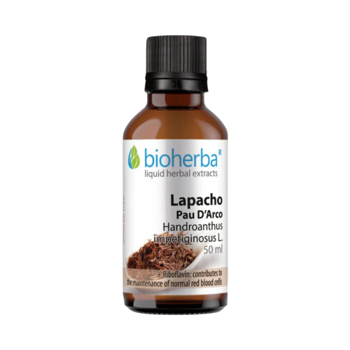 Pau D’Arco (Lapacho) kvapky – tinktúra – 50 ml – Bioherba