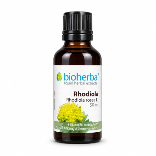 Rhodiola kvapky – tinktúra – 100 ml – Bioherba