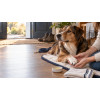 Balzam na labky DOGS – Shroom Buddy Balzam na labky DOGS – Shroom Buddy