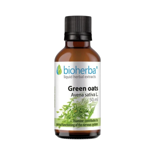 Ovos siaty (Avena sativa) kvapky – tinktúra – 50 ml – Bioherba