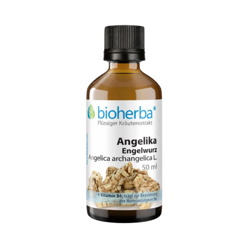 Angelika (Engelwurz) kvapky – tinktúra – 50 ml – Bioherba
