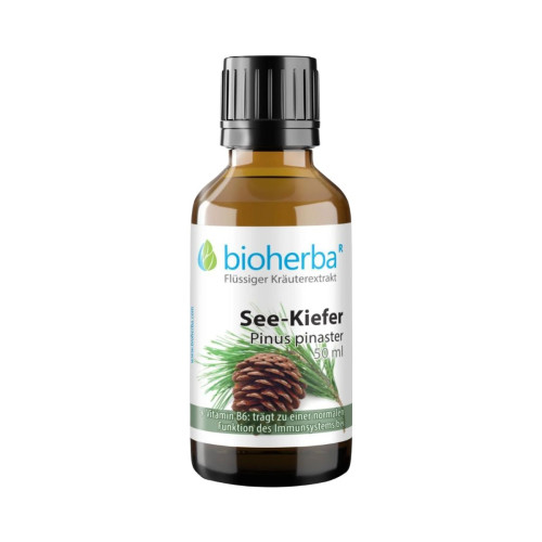 Borovica prímorská - tinktúra kvapky - 50 ml - Bioherba Borovica prímorská - tinktúra kvapky - 50 ml - Bioherba
