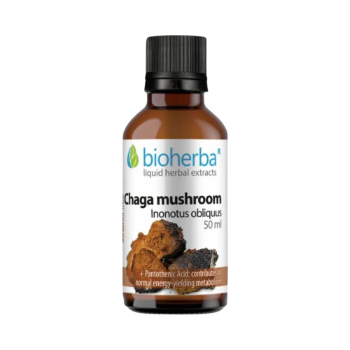 Čaga - tinktúra kvapky - 50 ml - Bioherba