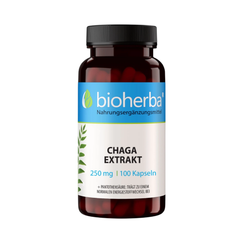 Čaga extrakt 250 mg – 100 kapsúl – Bioherba