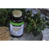 Masticha Active kapsule na trávenie - 100 tabliet Masticha Active kapsule na trávenie - 100 tabliet