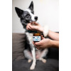 Balzam na labky DOGS – Shroom Buddy Balzam na labky DOGS – Shroom Buddy