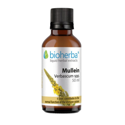 Divozel - tinktúra kvapky - 100 ml - Bioherba