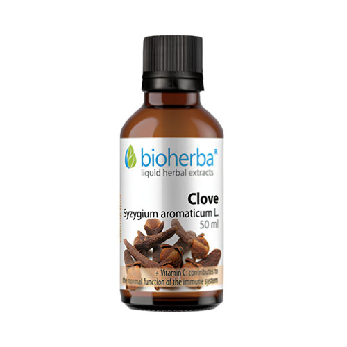Klinček - tinktúra kvapky - 50 ml - Bioherba Klinček - tinktúra kvapky - 50 ml - Bioherba