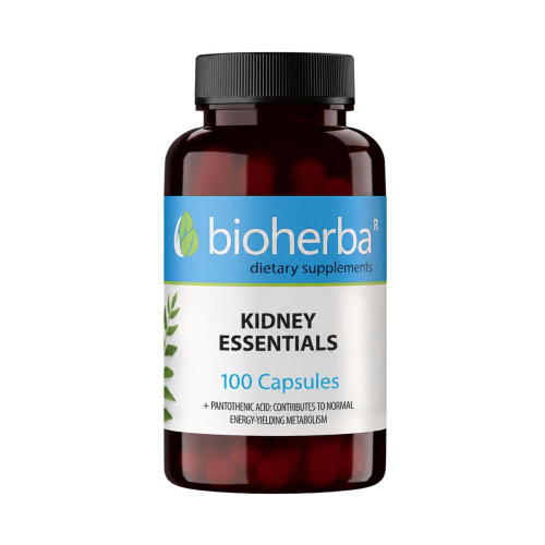Kidney Essentials – 100 kapsúl – Bioherba Kidney Essentials – 100 kapsúl – Bioherba