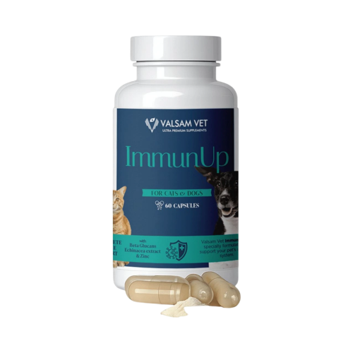 IMMUNUP - podpora imunity pre psy a mačky 60 kapsúl - Valsam Vet